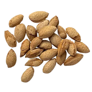 Organic Kagzi Almonds